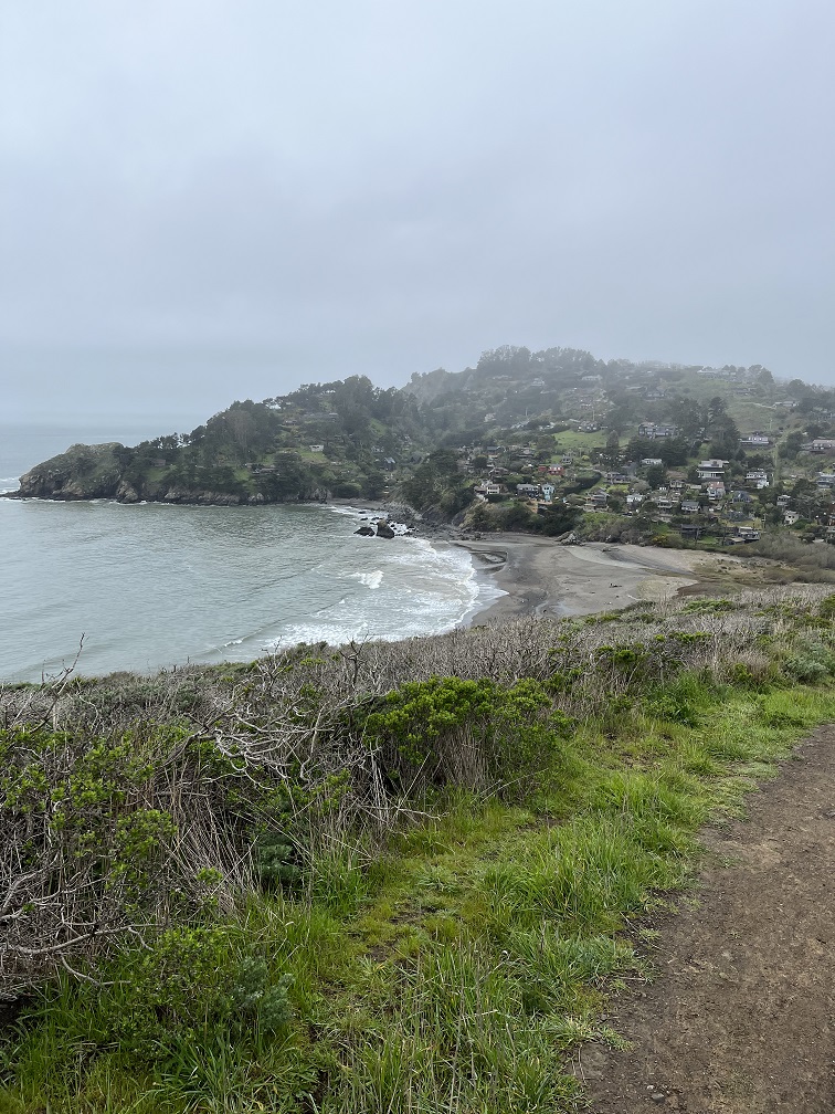 Muir Beach