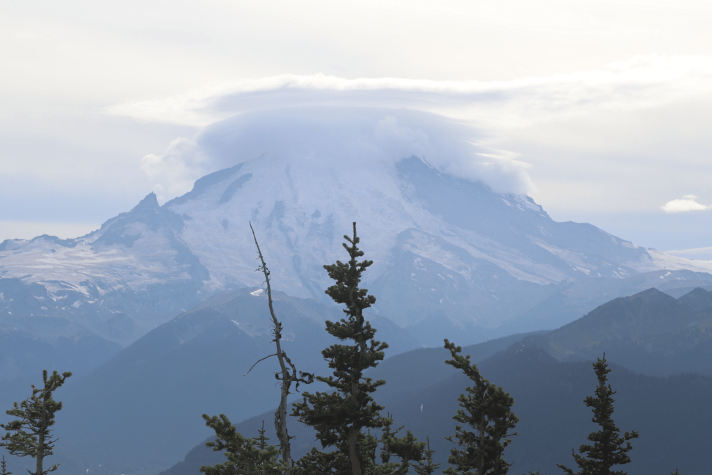 Mt. Rainier