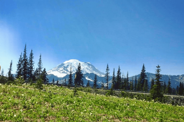 Rainier Tipsoo