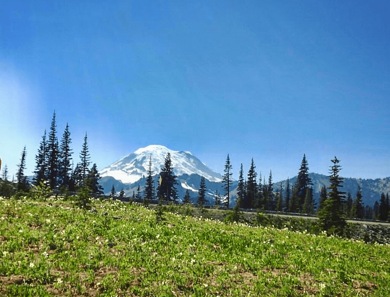 Rainier Tipsoo